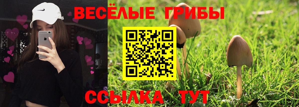 Галлюциногенные грибы Psilocybe Октябрьский